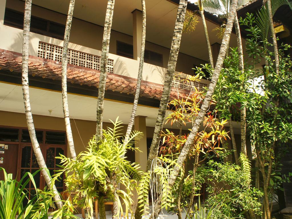 Wisma tamu Ned's Hide-away 2*
