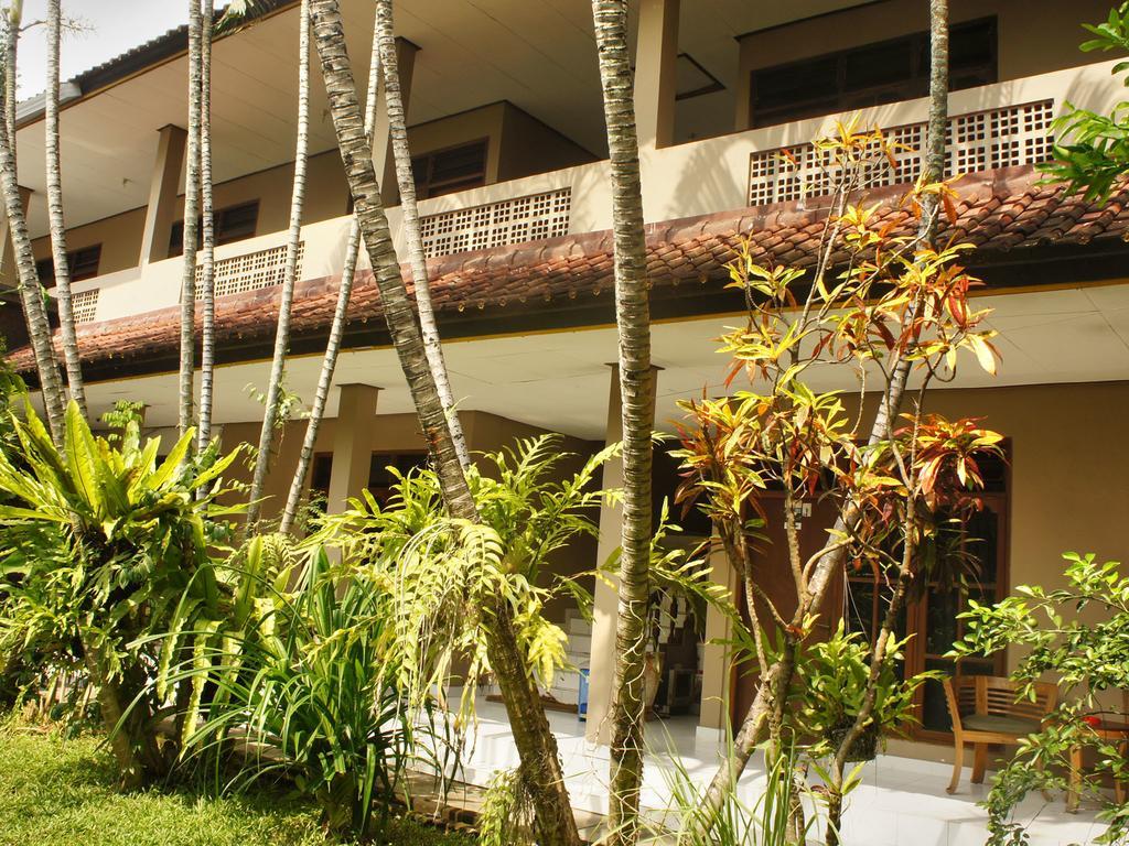 Ned's Hide-away Wisma tamu 2*